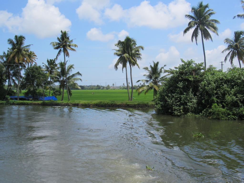 马拉伊梦b&B民宿 Alappuzha 客房 照片