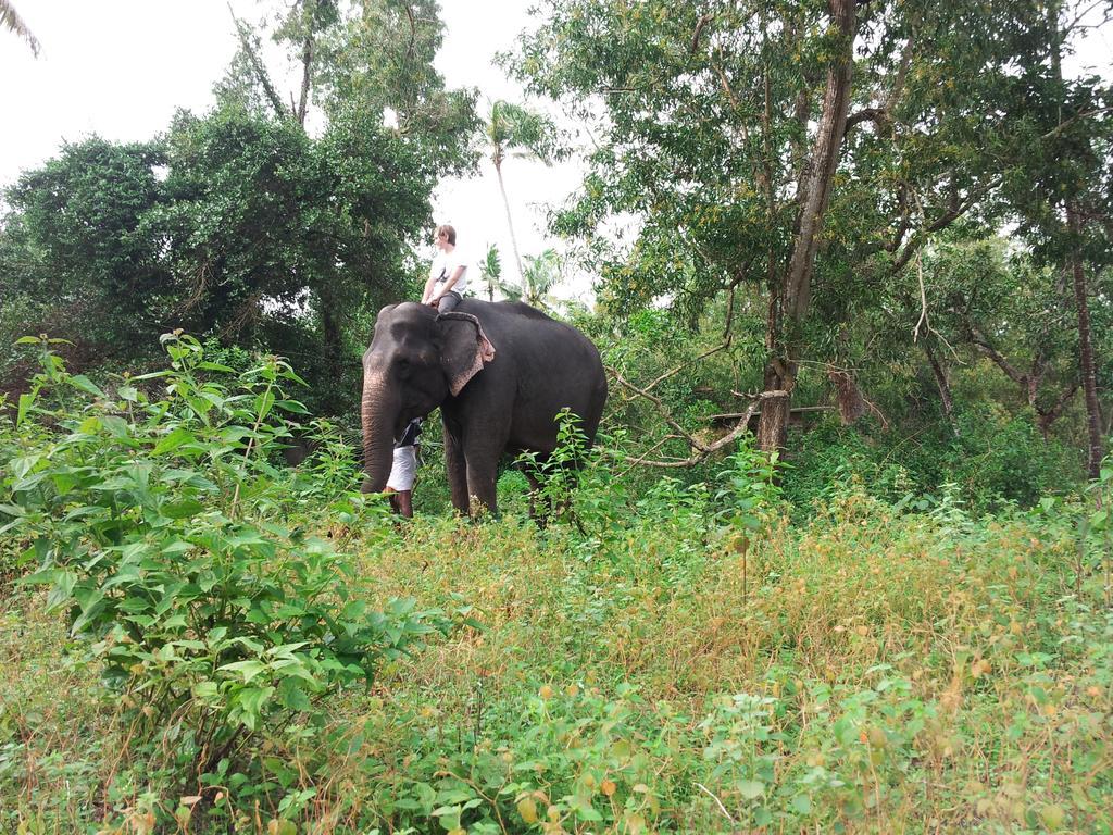 马拉伊梦b&B民宿 Alappuzha 客房 照片